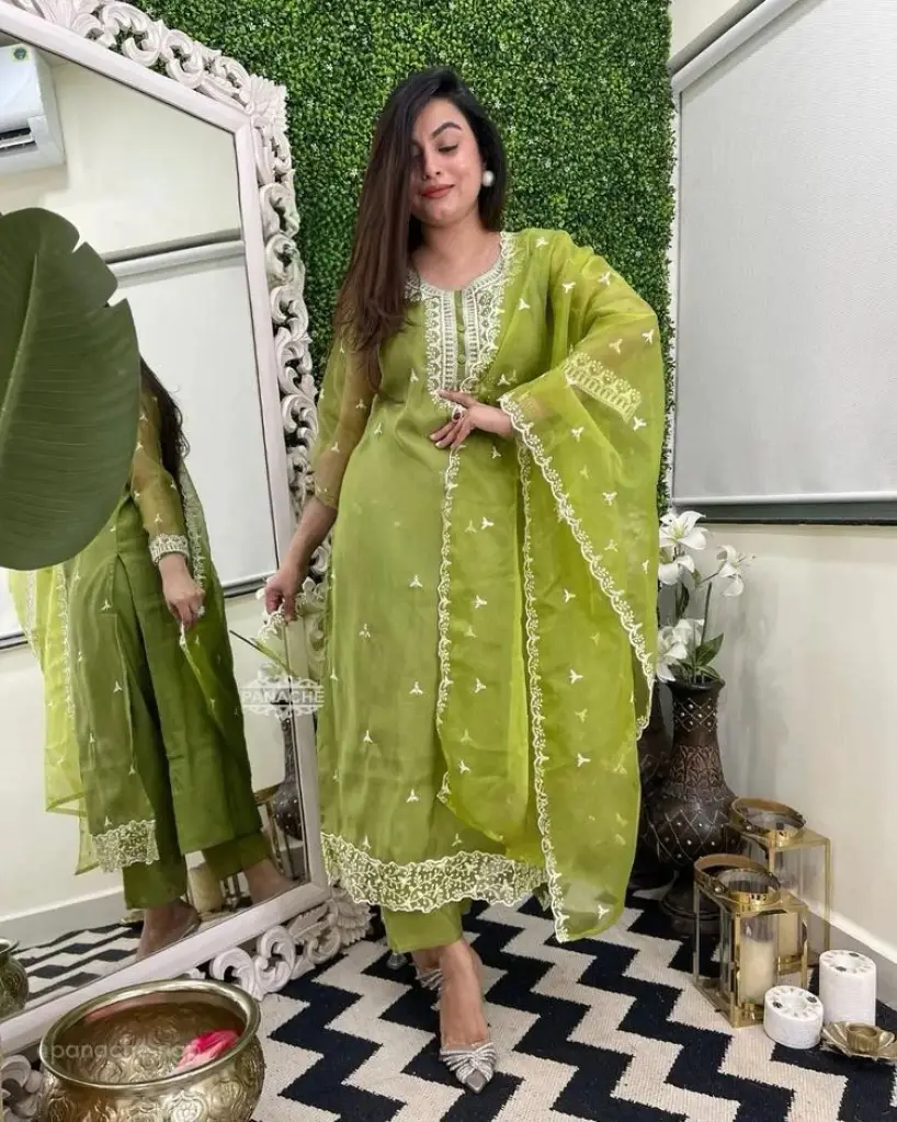 Elegant Organza Silk Ensemble Embroidered Grace