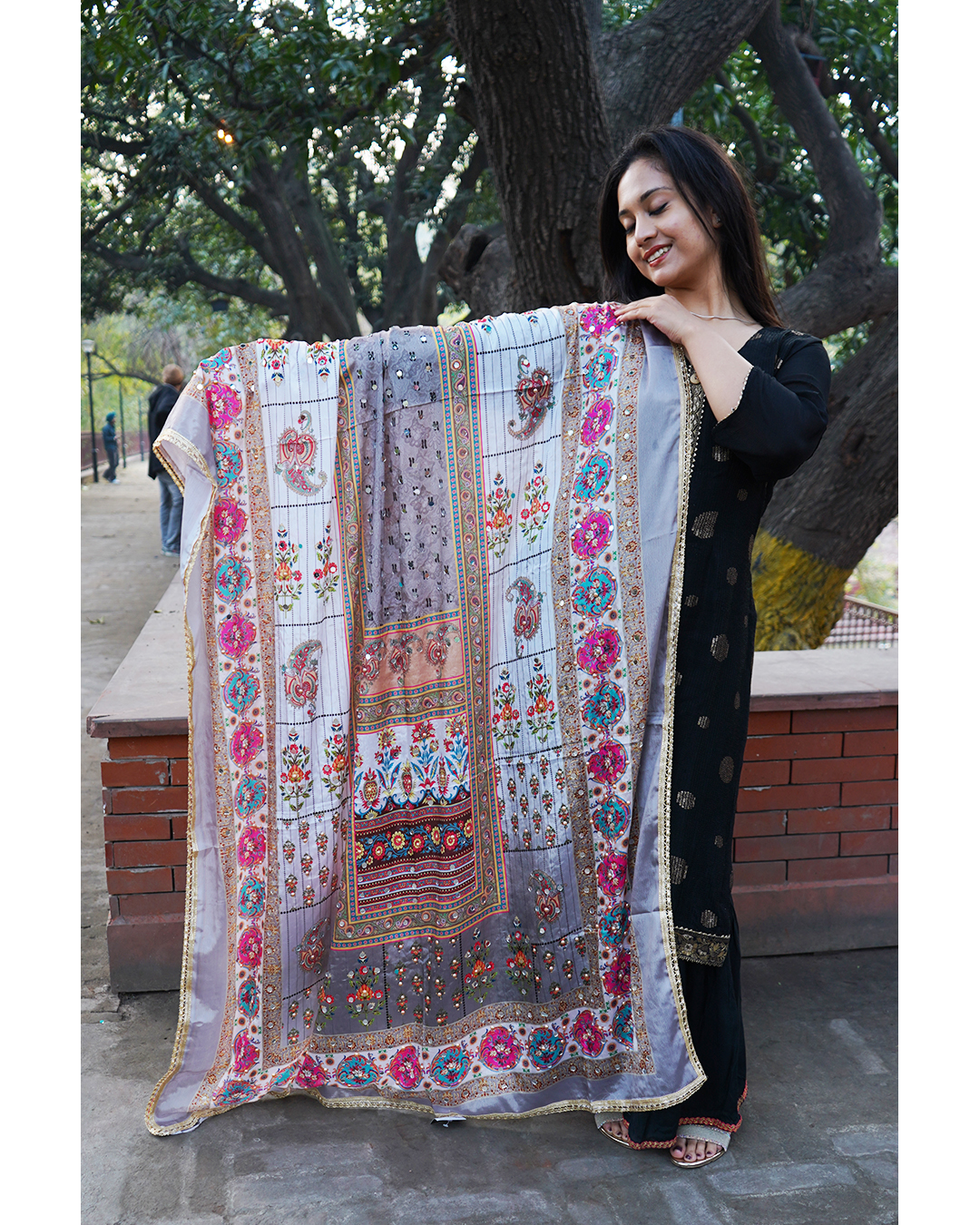 Vibrant Multicolor Dupatta 