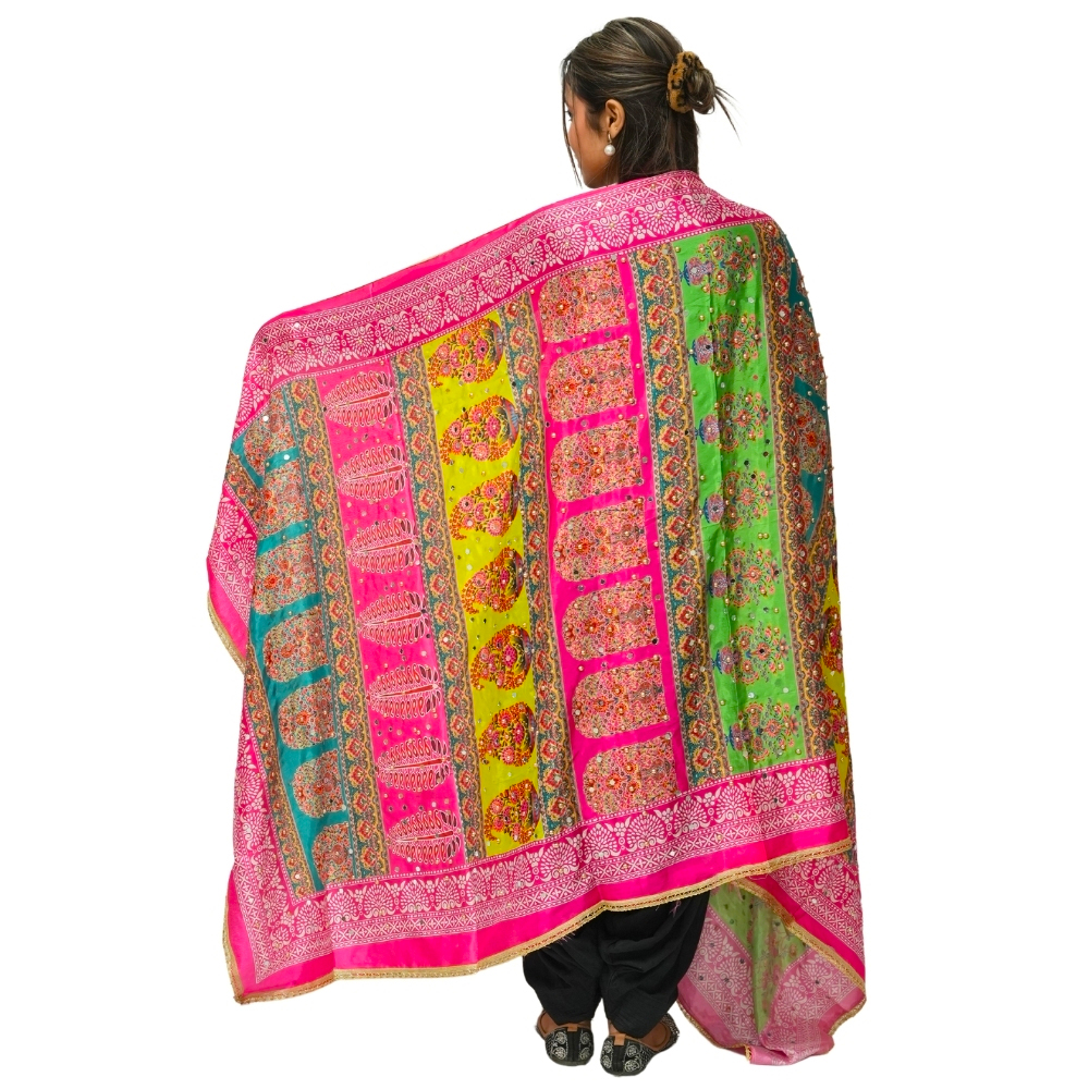 Vibrant Multicolor Dupatta 