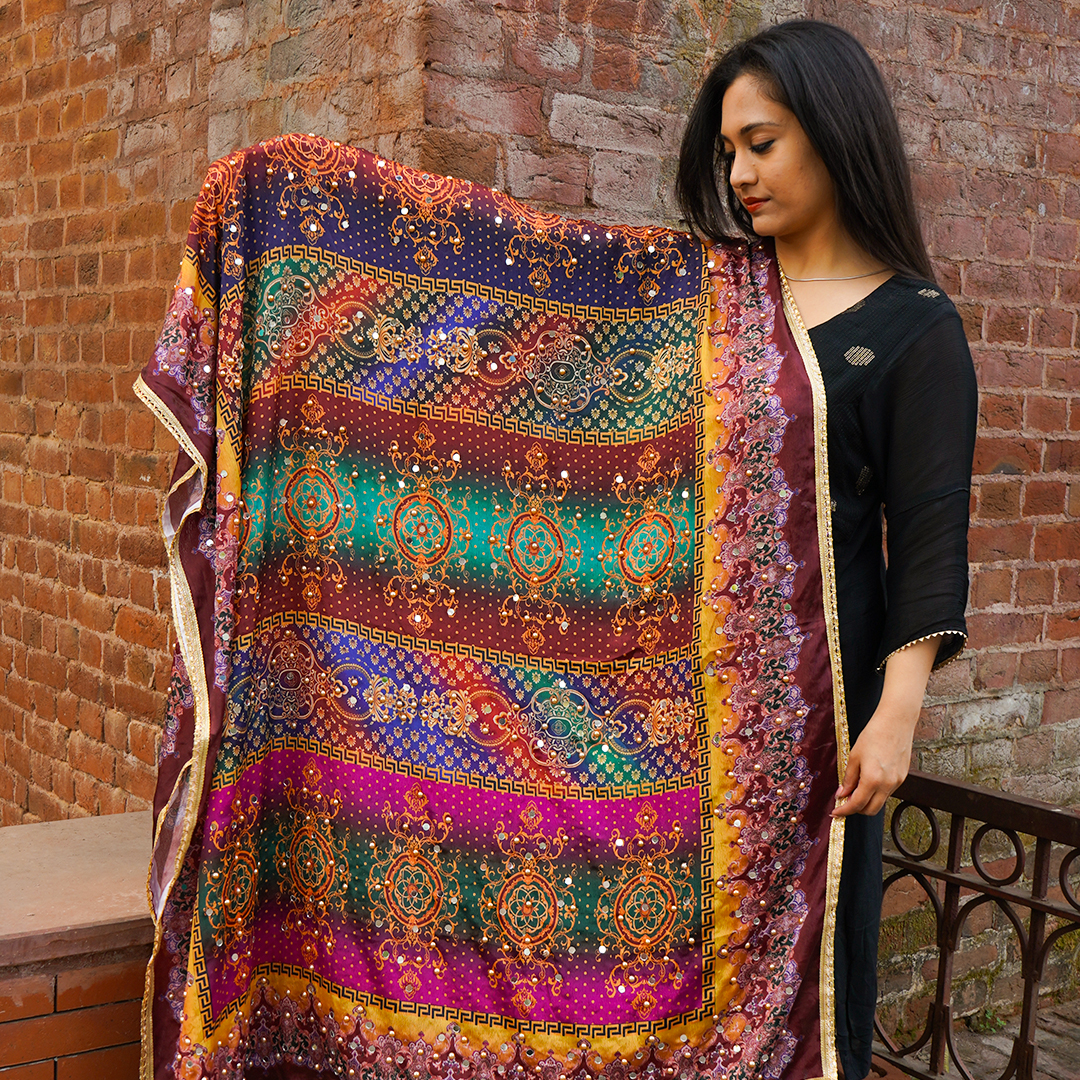 Vibrant Multicolor Dupatta 